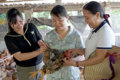 Lục Yên (Yên Bái): Giảm nghèo nhờ vốn chính sách