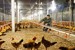 Hà Tĩnh: Cụ thể hoá chính sách giảm nghèo