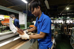 Nhật Bản: Sẽ triển khai hệ thống cư trú mới với lao động nước ngoài