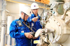 Thị trường lao động TPHCM: Bức tranh đa sắc diện