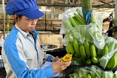 Xuất khẩu rau quả dự báo đạt hơn 8 tỷ USD