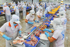 Đồng bằng sông Cửu Long: Đối mặt với di cư lớn và chất lượng nhân lực