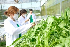 Ngành nông nghiệp “khát” nhân lực chất lượng cao