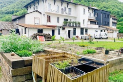 Cô chủ nhà hàng cuốc đất, trồng rau, làm vườn Việt thu nhỏ ở Pháp