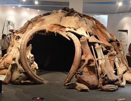 Bí ẩn vòng tròn xương voi ma mút mới được phát hiện ở Nga