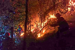 Nghe An issues high forest fire alert across most communes
