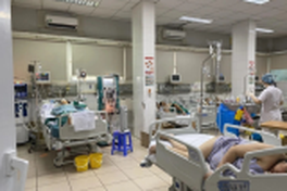HCM City sees rise in dengue cases, severe infections