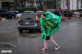 Hanoi hit by heavy rain and severe cold