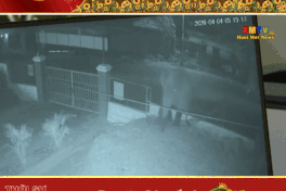 Wild elephant enters school, destroys crops in Son La