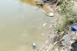 Ca Mau sets deadline to resolve saltwater fish deaths