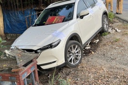 Chinese driver in fatal crash outside roadside home