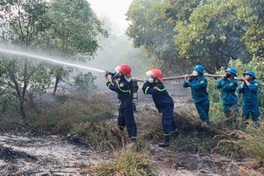 Hundreds battle coastal protection forest fire in Quang Tri