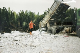 Tay Ninh man charged over dumping nearly 600 tonnes of cement waste