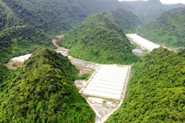 Five dead, two injured at Thanh Hoa pig farm