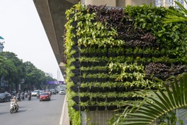 Hanoi brings greenery to railway pillars, bridges and underpasses