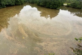 Dung Quat diesel spill pollutes rivers and farmland