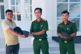 Rare silver pheasants found in Lam Dong garden