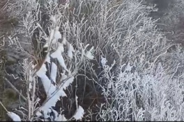 Frost blankets Fansipan peak as temperatures hit zero