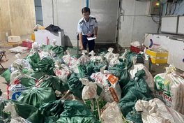 Ho Chi Minh City sees bigger scale smuggling after merger