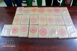 Nghe An police dismantle cross-border drug ring, seize 22 bricks of heroin