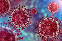 Ministry of Health orders close monitoring of COVID-19 variant in US