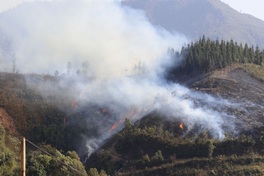 Dien Bien on highest alert after 2,500 forest fire hotspots
