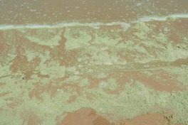 Unusual foam and colour changes reported at Vung Tau beach