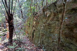 Quang Tri surveys 150 metre rock wall in protected forest