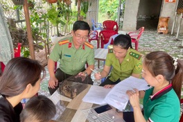 Rare slow loris found in Dong Nai cashew plantation