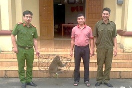 Rare Assamese macaque found at Ninh Binh home