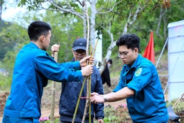 Lam Dong plants 1,000 trees at Tuyen Lam tourist area