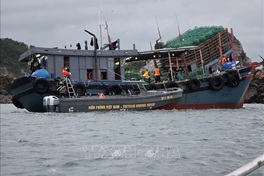 Eight fishermen rescued after boat hits reef off Co To