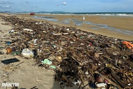 HCM City protects beaches from water hyacinth and waste