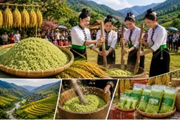 Lao Cai to host annual Tu Le Green Rice Festival