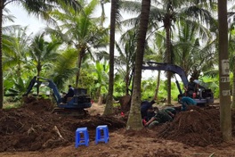 Remains of 42 soldiers found in Dong Thap coconut grove