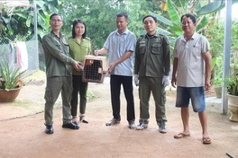 Dong Nai residents hand over three endangered monkeys