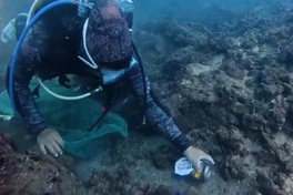 Gia Lai divers scour seabed for rubbish to protect coral reefs