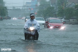 Vinh sees 40-year record rainfall, triggering floods and landslides