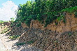 Severe riverbank erosion threatens farmland in Quang Ngai
