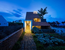 Bỏ thành phố về nông thôn, đôi vợ chồng dựng nhà giữa cao nguyên xanh mướt