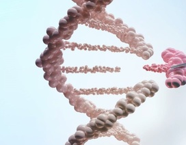 Tiến bộ trong kỹ thuật chỉnh sửa gen chống ung thư Tiến bộ trong kỹ thuật chỉnh sửa gen chống ung thư