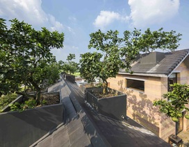 Biệt thự ở Hà Nội gây ngỡ ngàng khi trồng cả vườn cây ăn quả trên mái nhà