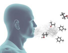 Phát triển “mũi điện tử” có khả năng đánh hơi nguy cơ ung thư trong hơi thở