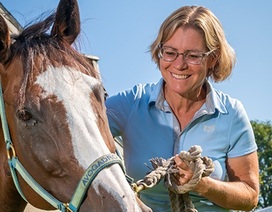 Kỳ lạ: Bác sĩ Mỹ điều trị ung thư bằng... ngựa
