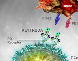 Bệnh nhân ung thư được miễn phí một phần thuốc điều trị miễn dịch