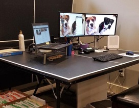 Bồn tắm, nhà vệ sinh được tận dụng thành…  “phòng làm việc” thời Covid-19