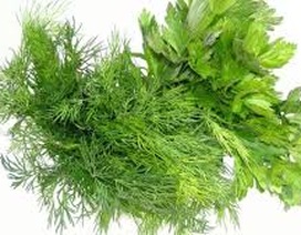 Bất ngờ với công dụng chống ung thư của rau thì là, mùi tây