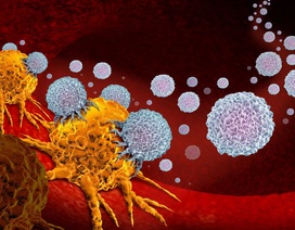 Dinh dưỡng sau điều trị ung thư