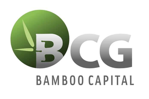 Thành viên HĐQT Bamboo Capital đăng ký bán 1 triệu cổ phiếu