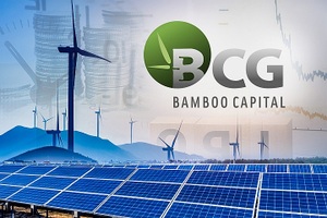 Lợi nhuận Bamboo Capital "bốc hơi" hơn 80% bất chấp doanh thu tăng